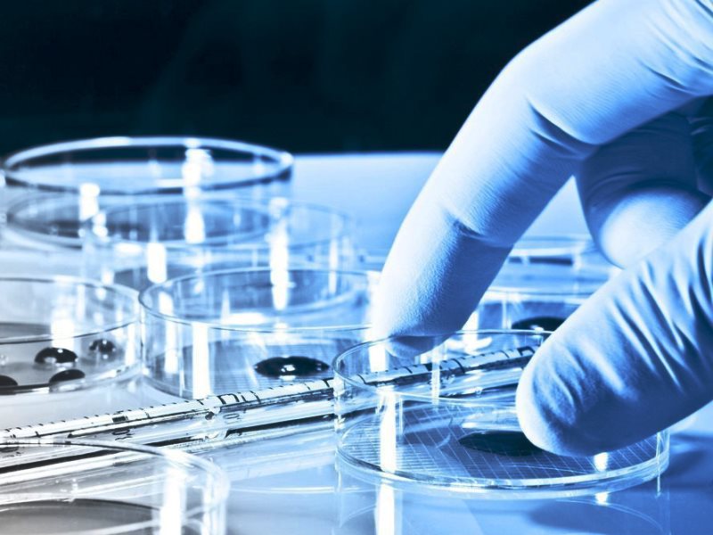 Основные методы и правила проведения дезинфекции