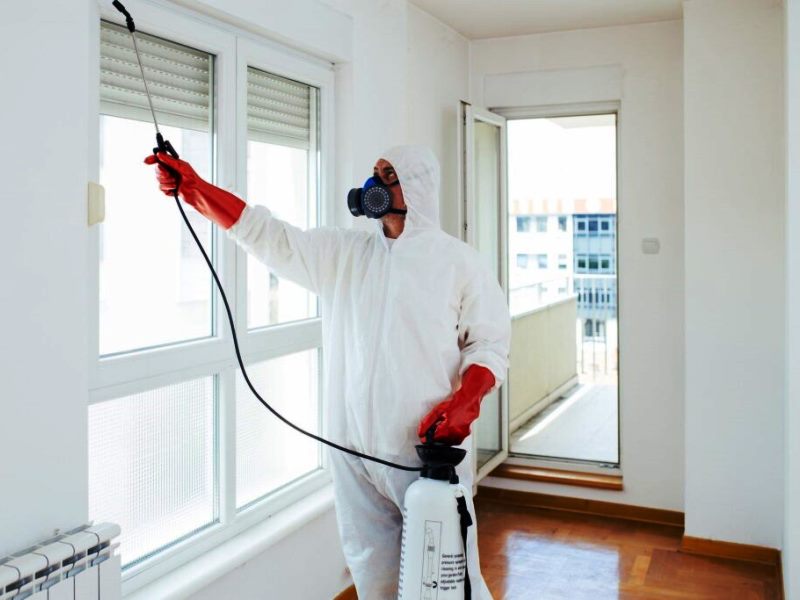 Новые нормы СанПин и дезинфекции в 2023 году