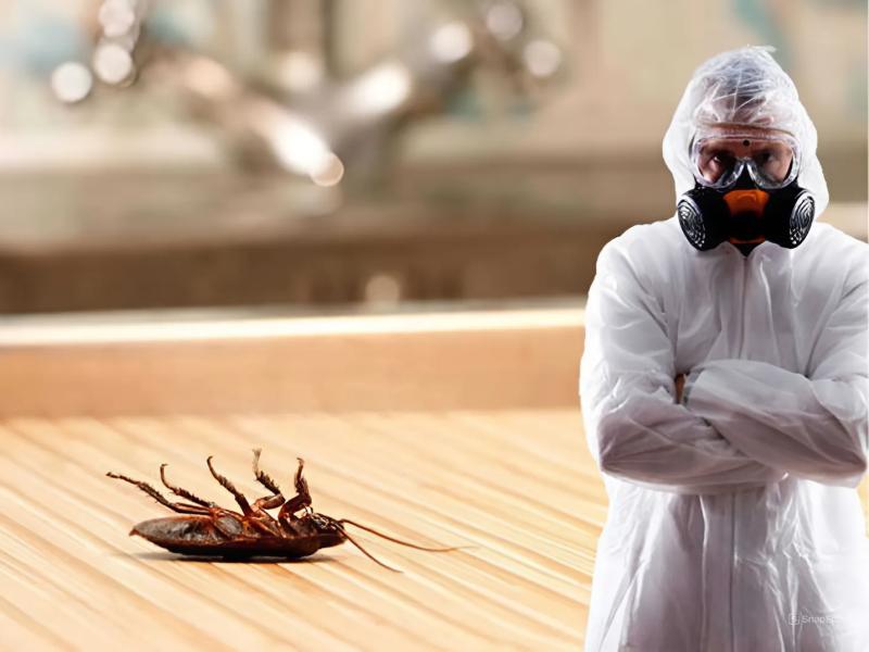Уничтожение тараканов в квартире